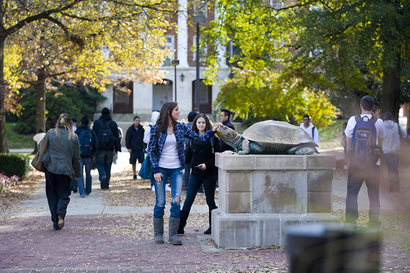 Students at the University of Maryland campus