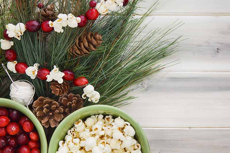 Choose reusable, compostable, or edible decorations