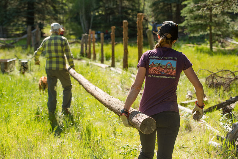 Each year, hundreds of volunteers help Grand Canyon Trust survey springs, plant native grasses, and document grazing impacts at the Colorado Plateau.