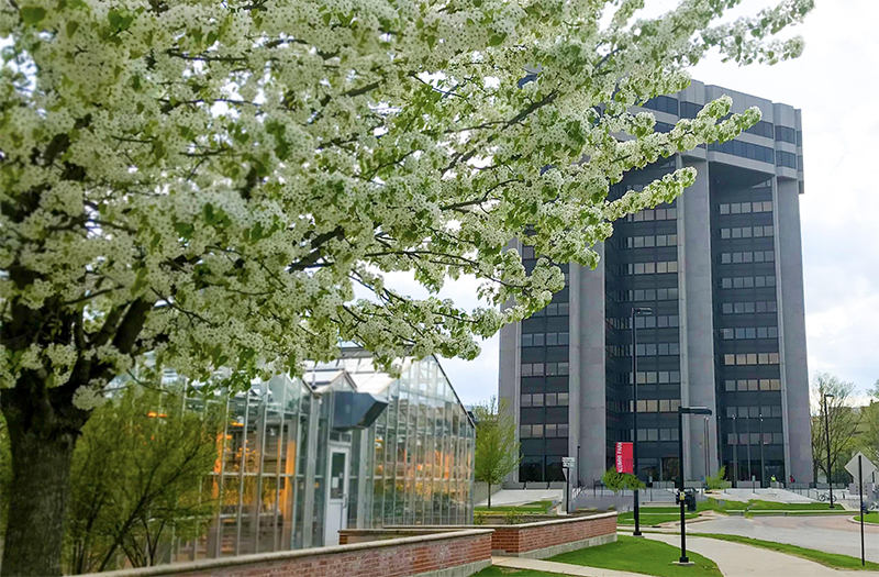 The Wisconsin Alumni Research Foundation (WARF) building